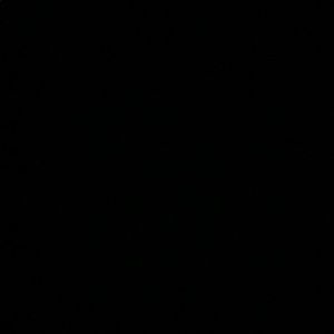 Meet your Posher, Kylee